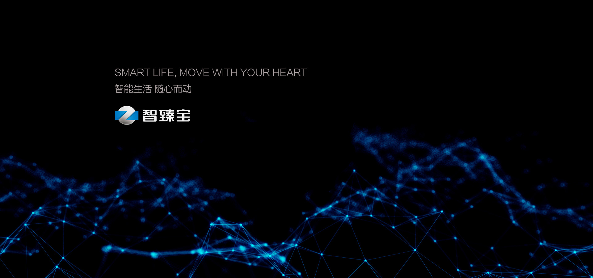 智臻寶