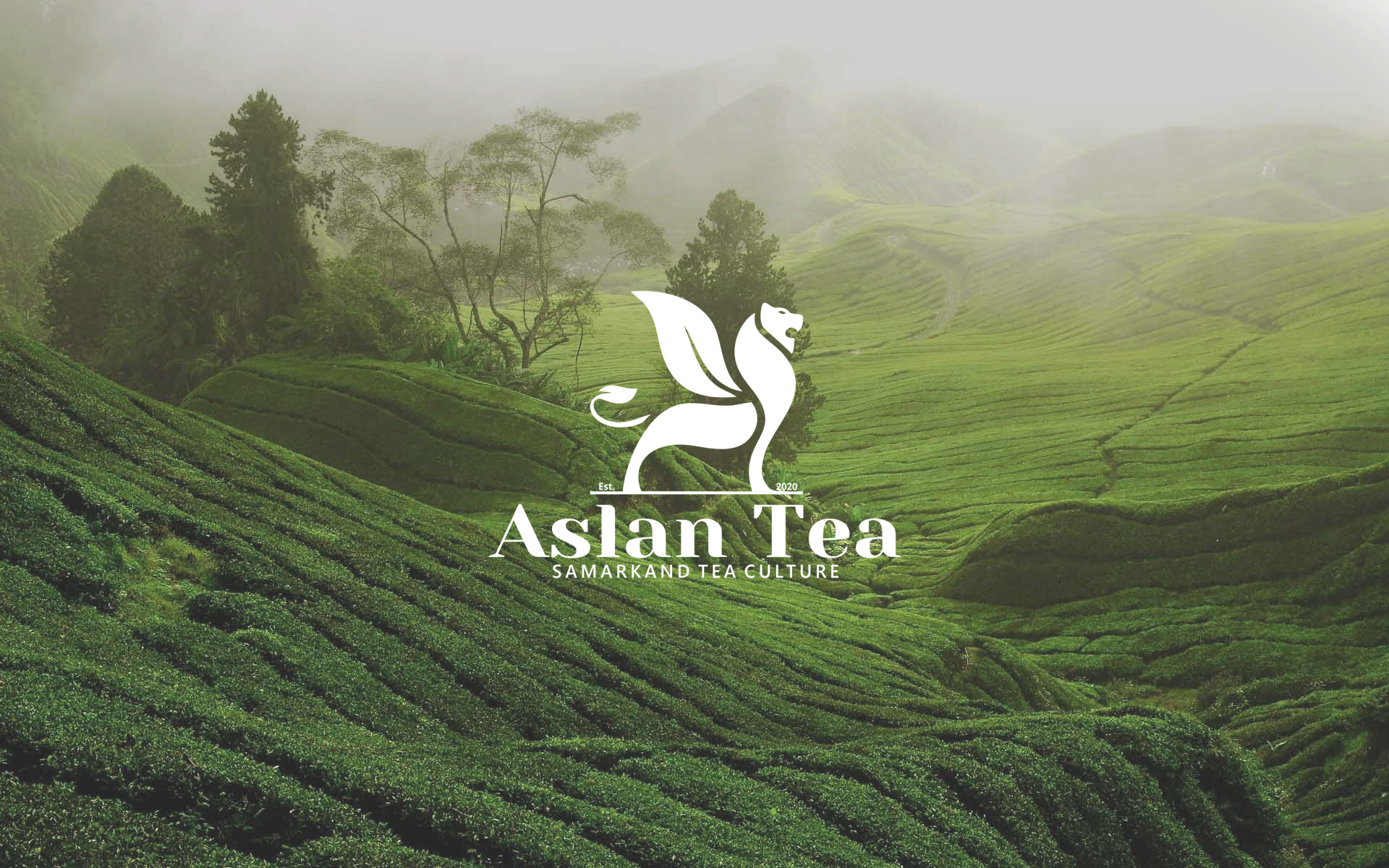 茶葉包裝設(shè)計