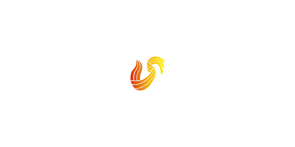 山東衛(wèi)視標(biāo)志設(shè)計